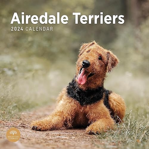 Bright Day - Calendario mensual de pared 2024 Airedale Terriers, 12 x 12 pulgadas, lindo regalo de raza de perro