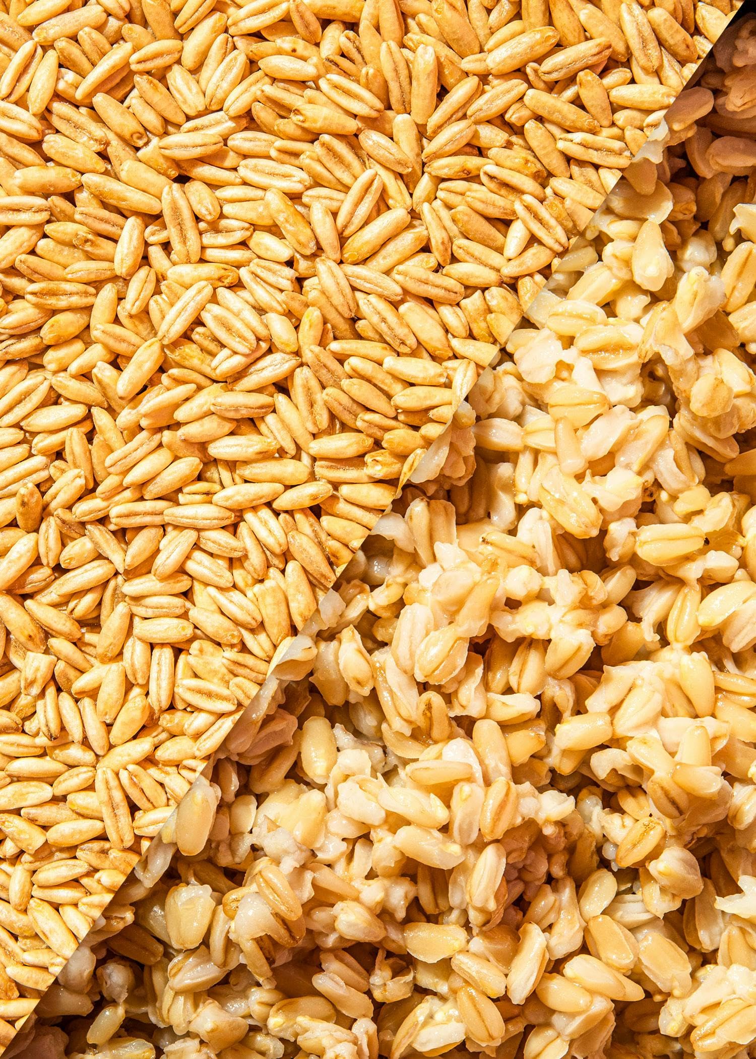 KoRo - Chicchi d'avena biologici 4 x 2,5 kg - Qualità biologica - Alto contenuto di fibre - Fonte di proteine - Ideale per il porridge, la cottura al forno o come contorno