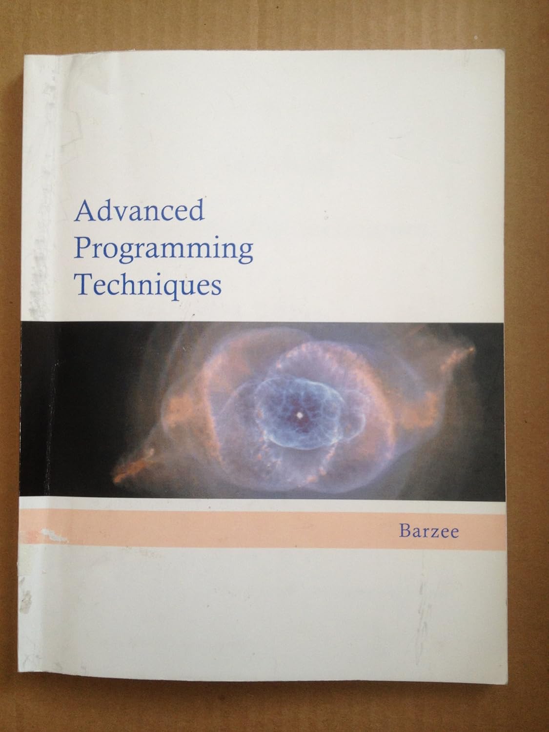 Advanced Programming Techniques: Barzee, Rex A: 9780983384021: Amazon ...