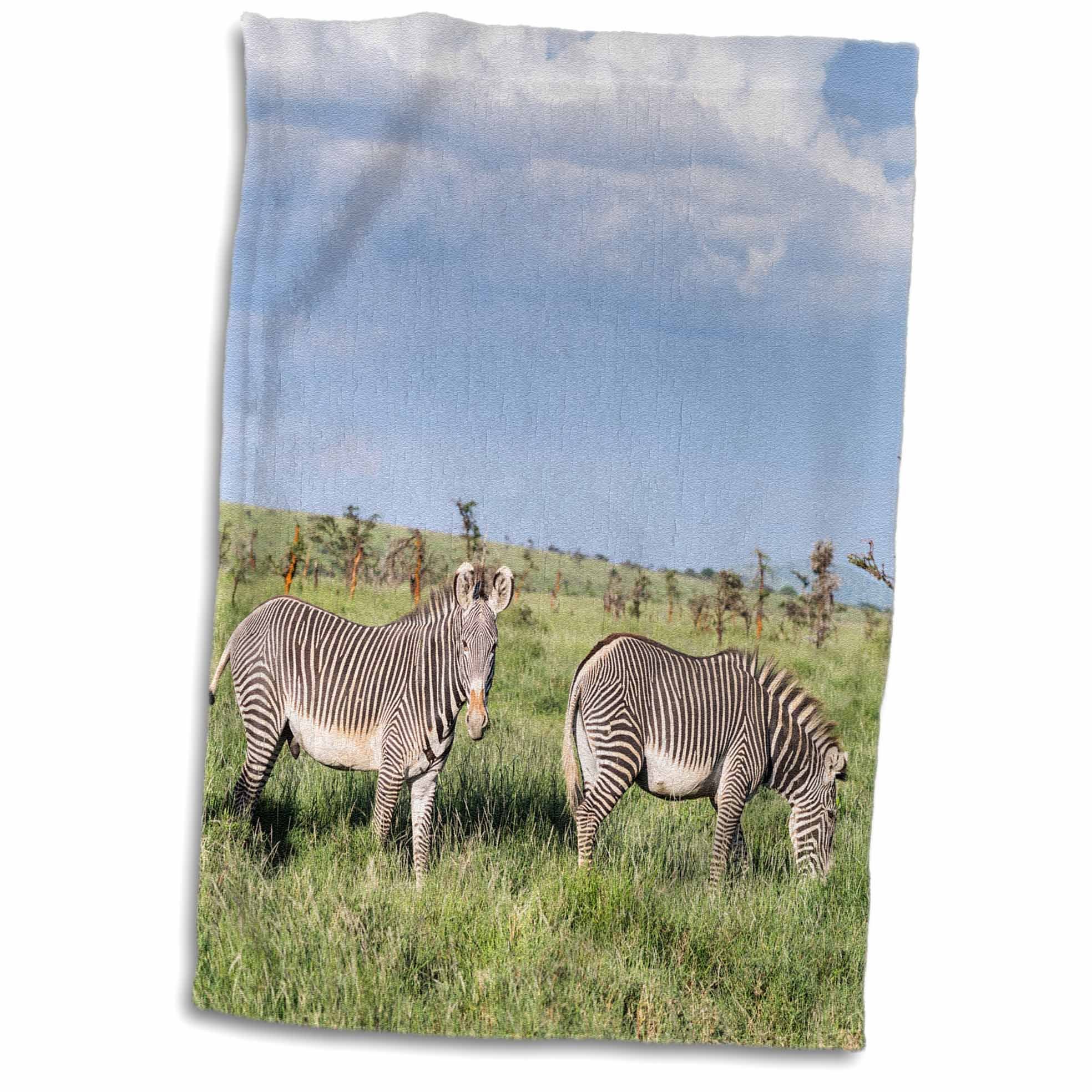 3dRoseGrevys Zebra is The Largest Wild equid, Endangered, Kenya, Africa. - Towels (twl-189001-1)