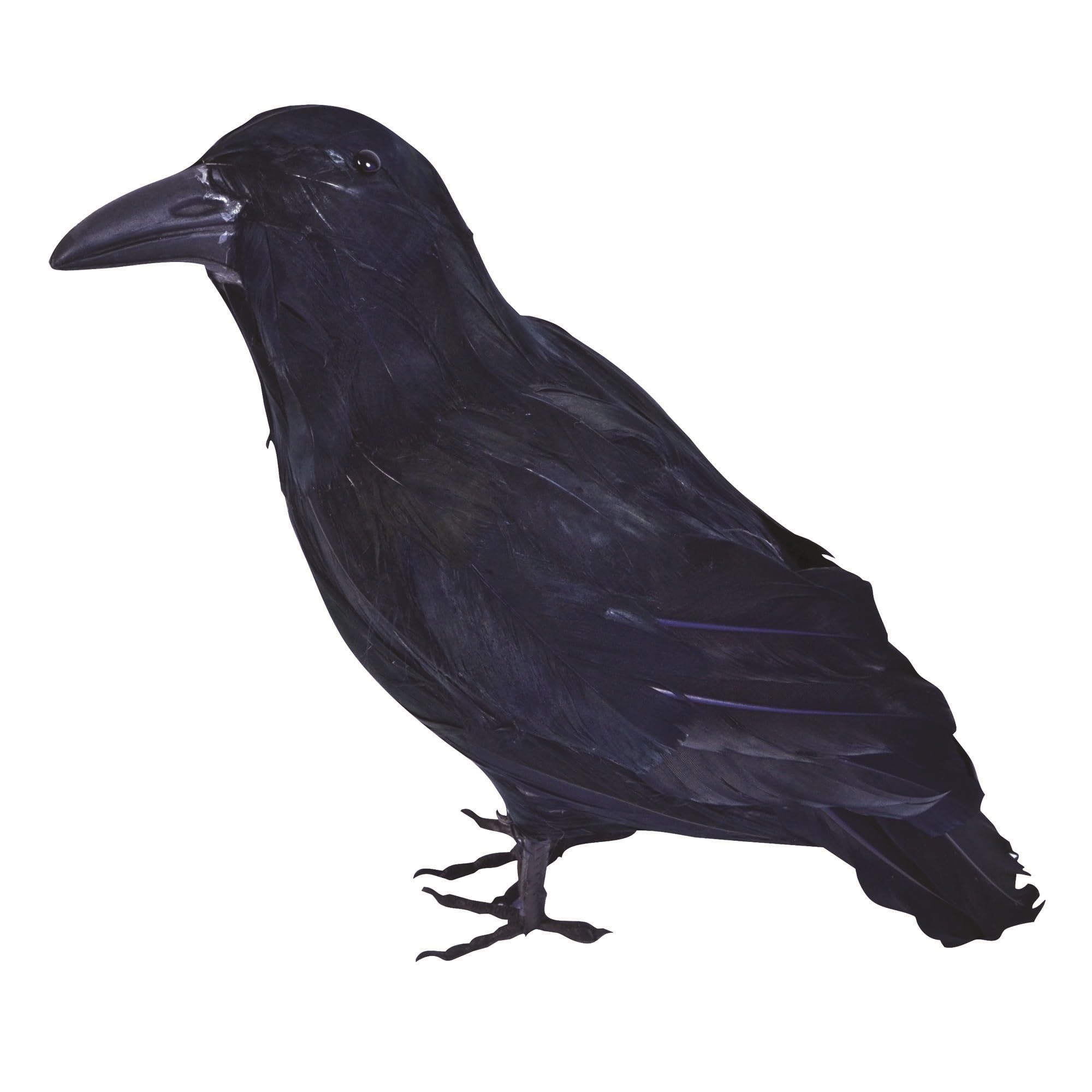 Decorative Raven with Feathers