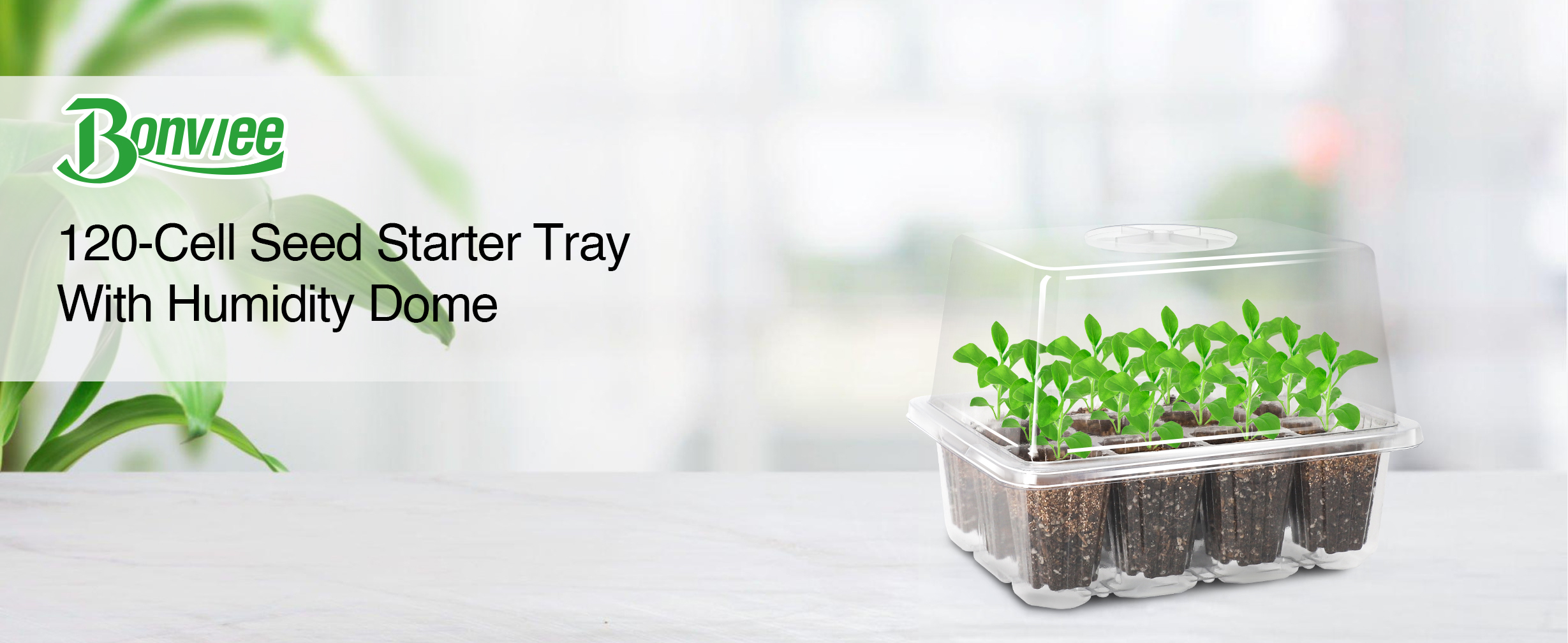 【rarai】vivie Amazon.com : Bonviee 10 Packs Seed Starter Tray with