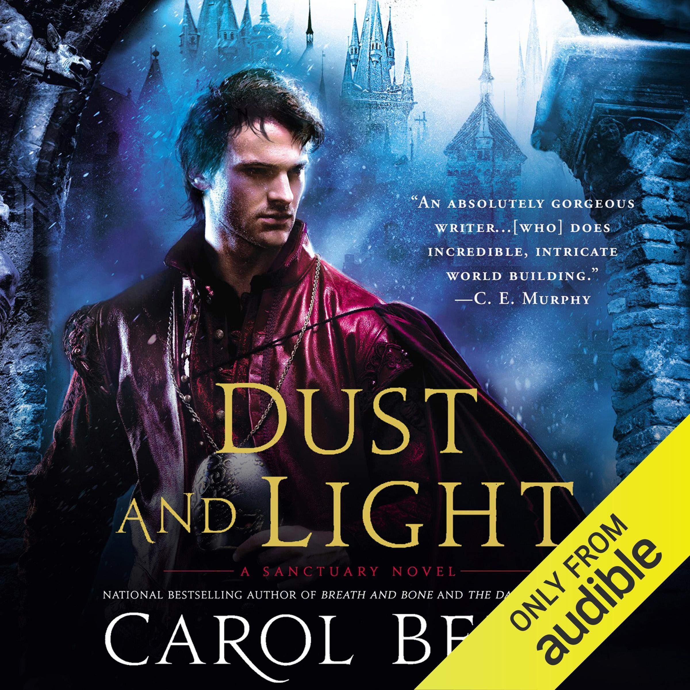 Cover art for Dust and Light