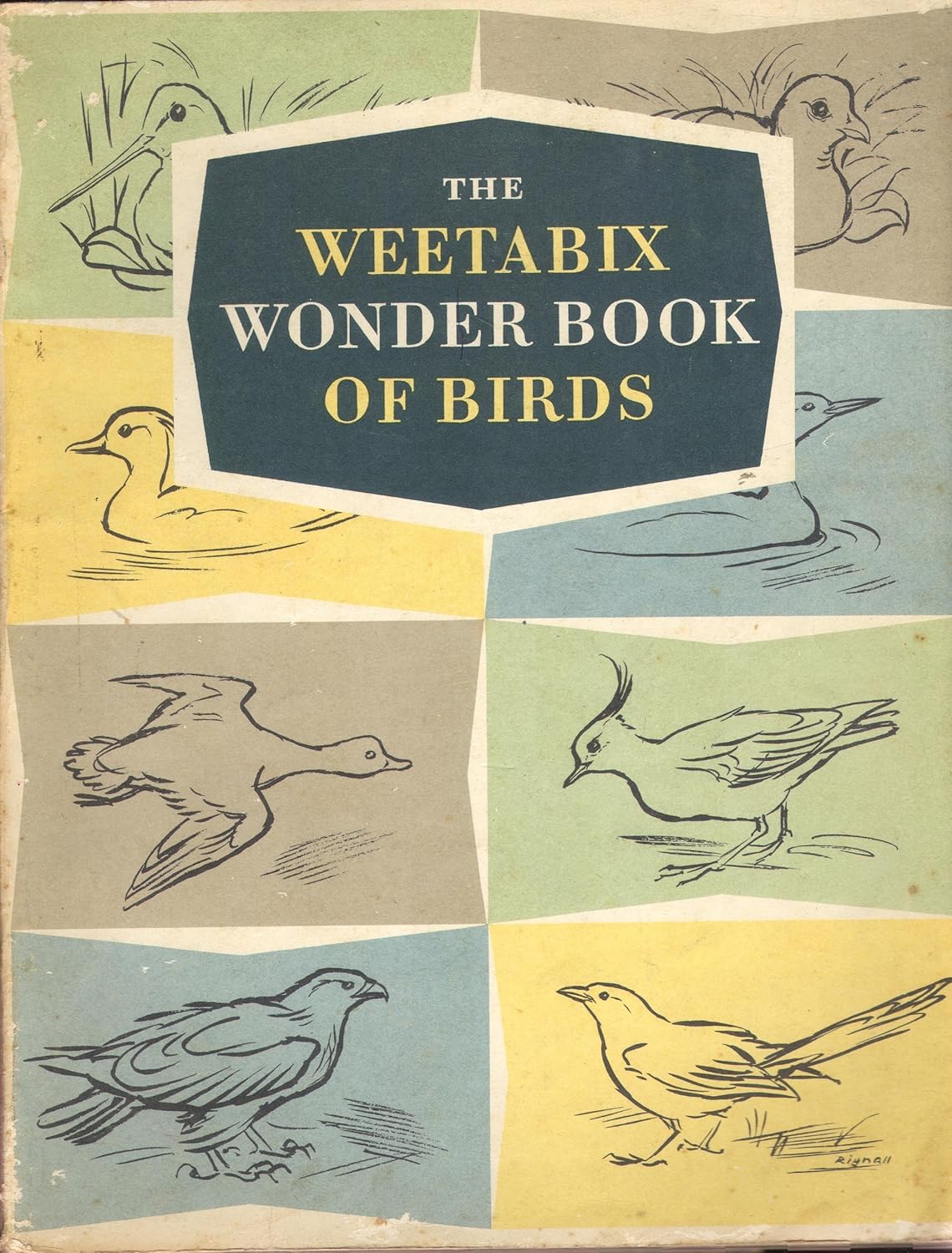 The Weetabix Wonder Book Of Birds: Amazon.co.uk: Written and ...