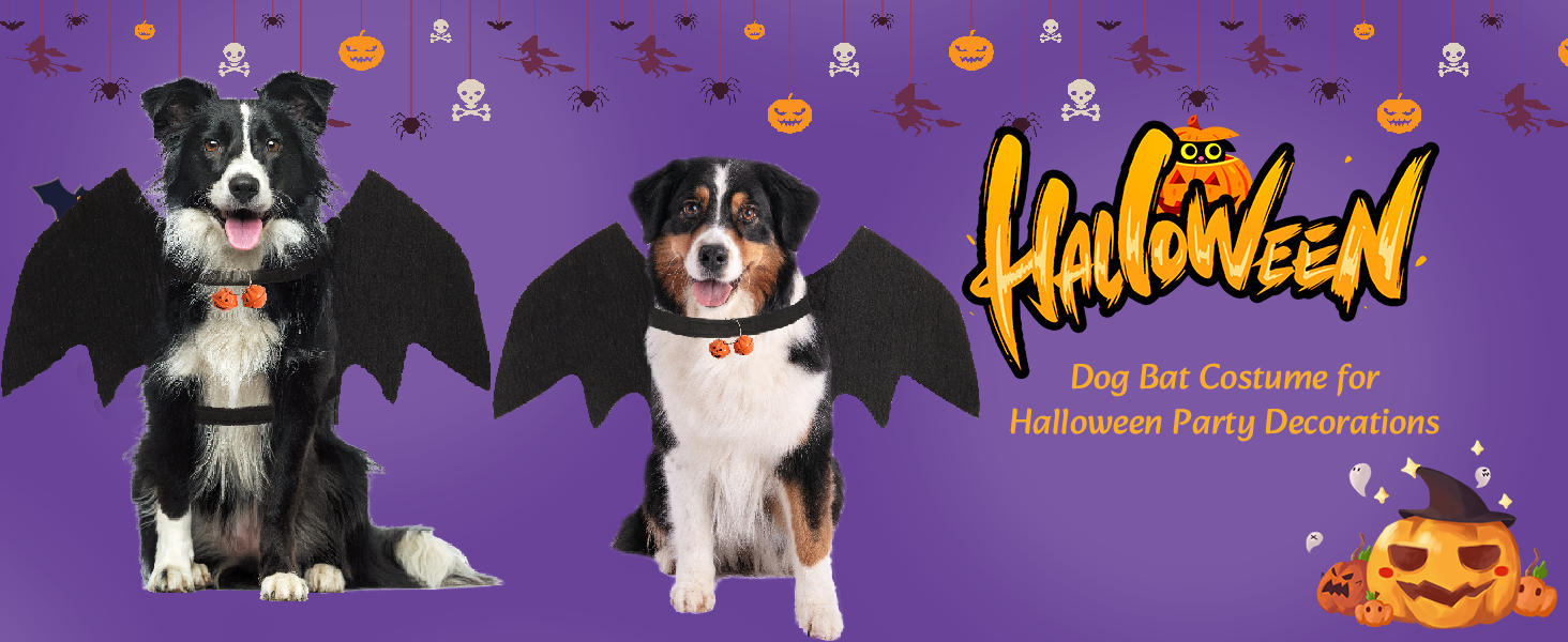 Hund Fledermaus Kostüm Mit LED - Halloween Kostüm Für Haustiere