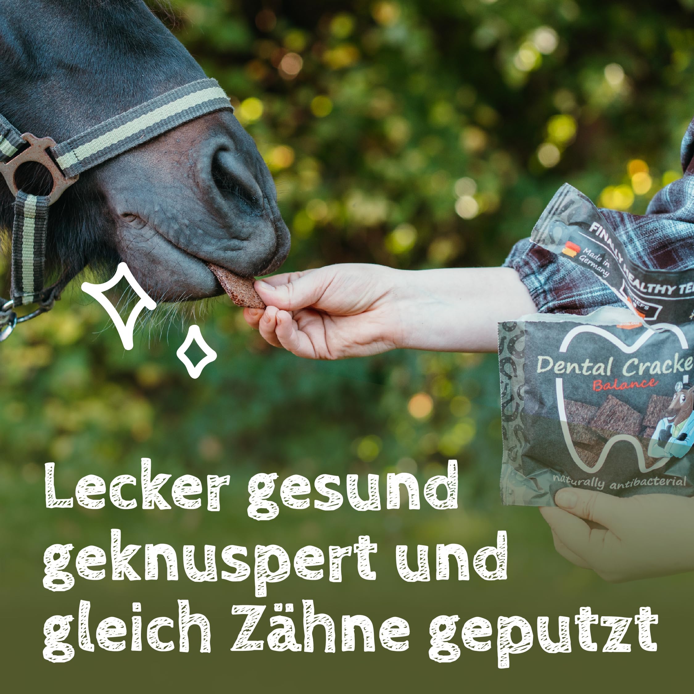 QCHEFS 8er Pack Zahnputz-Cracker Balance Pferd gegen Zahnstein Mundgeruch | Ohne Bürste, Gesunde Leckerlis gegen Zahnstein & Mundgeruch, Tägliche Zahnreinigung