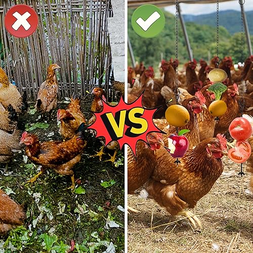 Miniatura 4 de winemana 6 piezas de juguete colgante de pollo para gallinero, soporte para golosinas de pollo, brochetas de frutas para gallinas, accesorios de