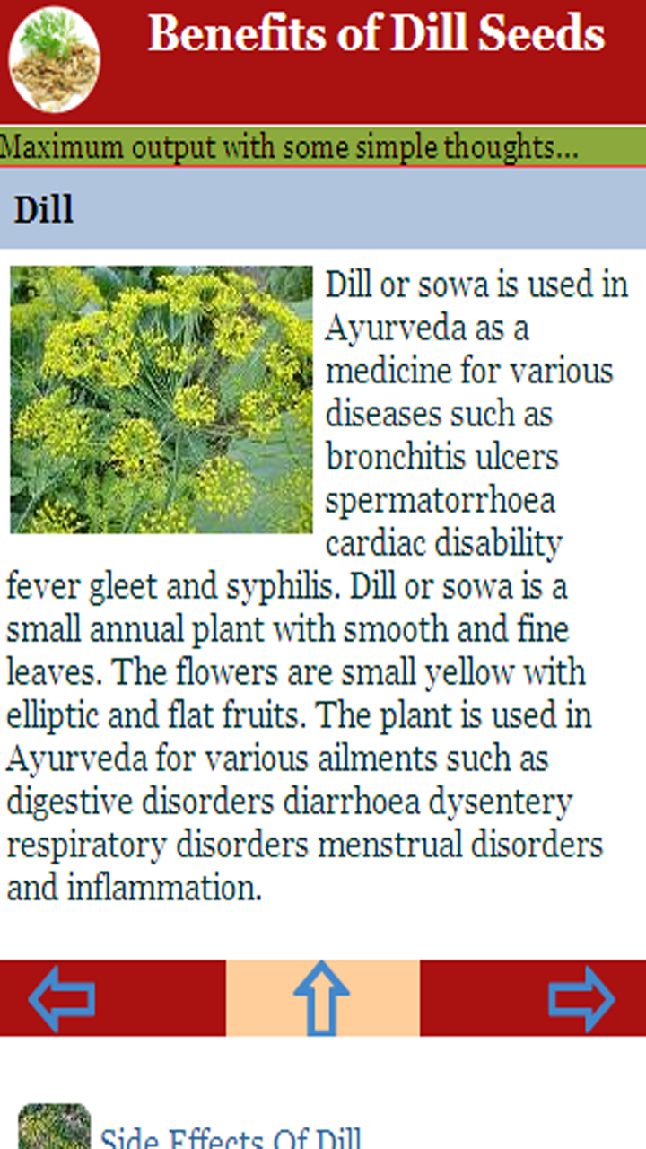 Benefits of Dill SeedsAmazon.esAppstore for Android
