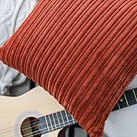 Vista 121 de UGASA - Juego de 2 fundas de almohada de terciopelo a rayas, funda decorativa para cojín con cremallera oculta para el hogar, sofá, dormitorio