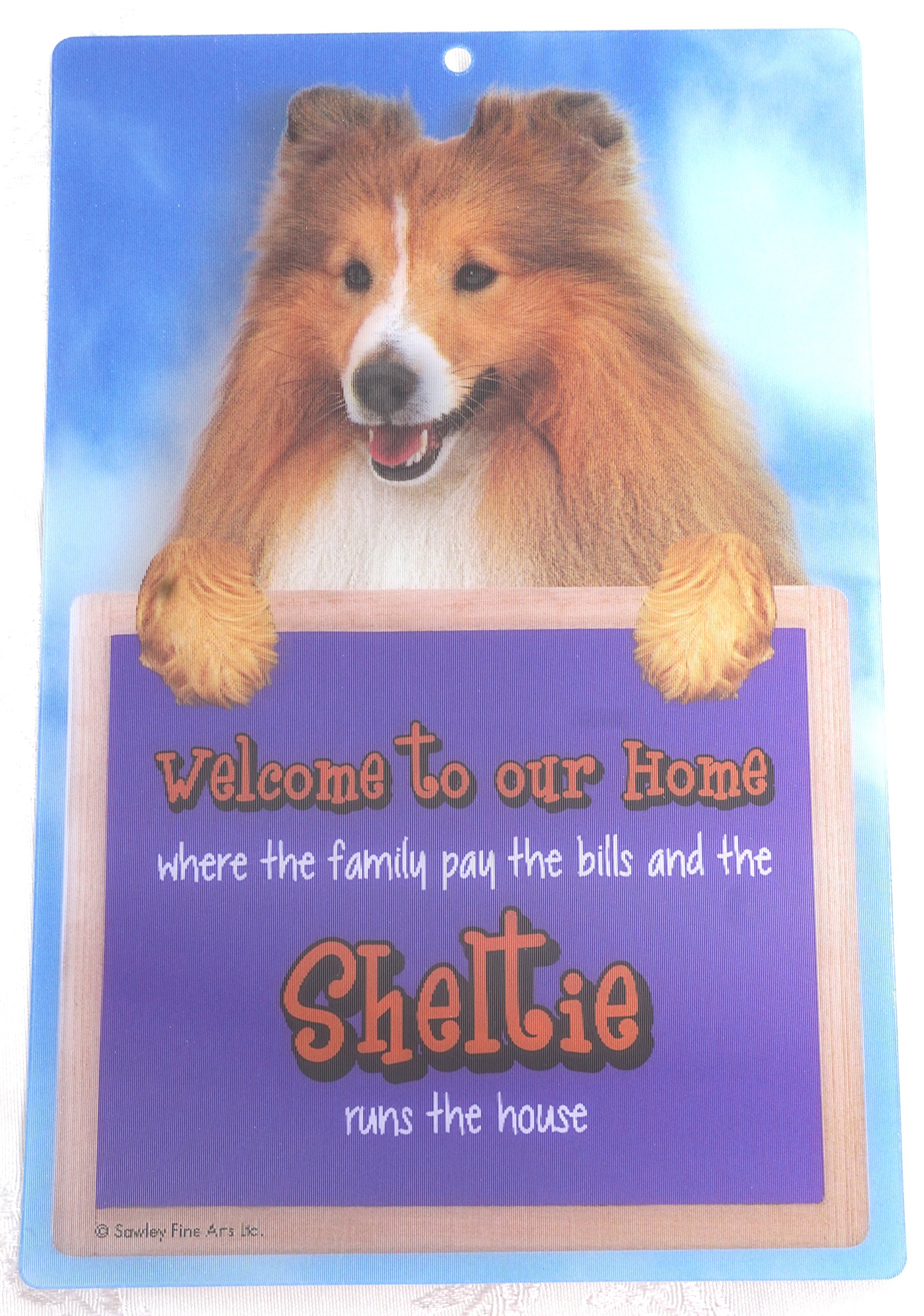 3D SHELTIE DOG WELCOME SIGN STUNNING EYE CATCHING 23CM X 15CM DURABLE SIGN