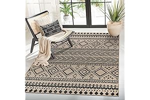 Lahome 3x5 Boho Area Rug