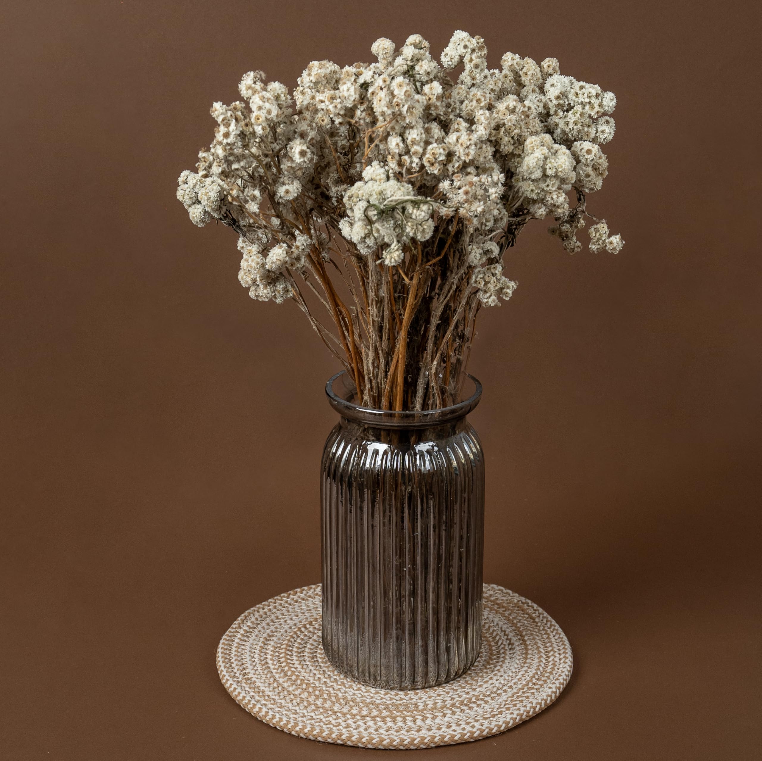 IDIKA Living Himalayan Daisy Dried Flowers | Natural Dried Blooms| 70 Grams | Naturally Preserved, Delicate & Everlasting | Perfect for Home Decor, Floral Arrangements, Bouquets & DIY Crafts(White)-image-20