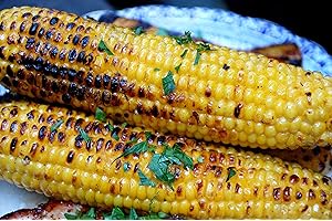 Bodacious Sweet Corn Seeds