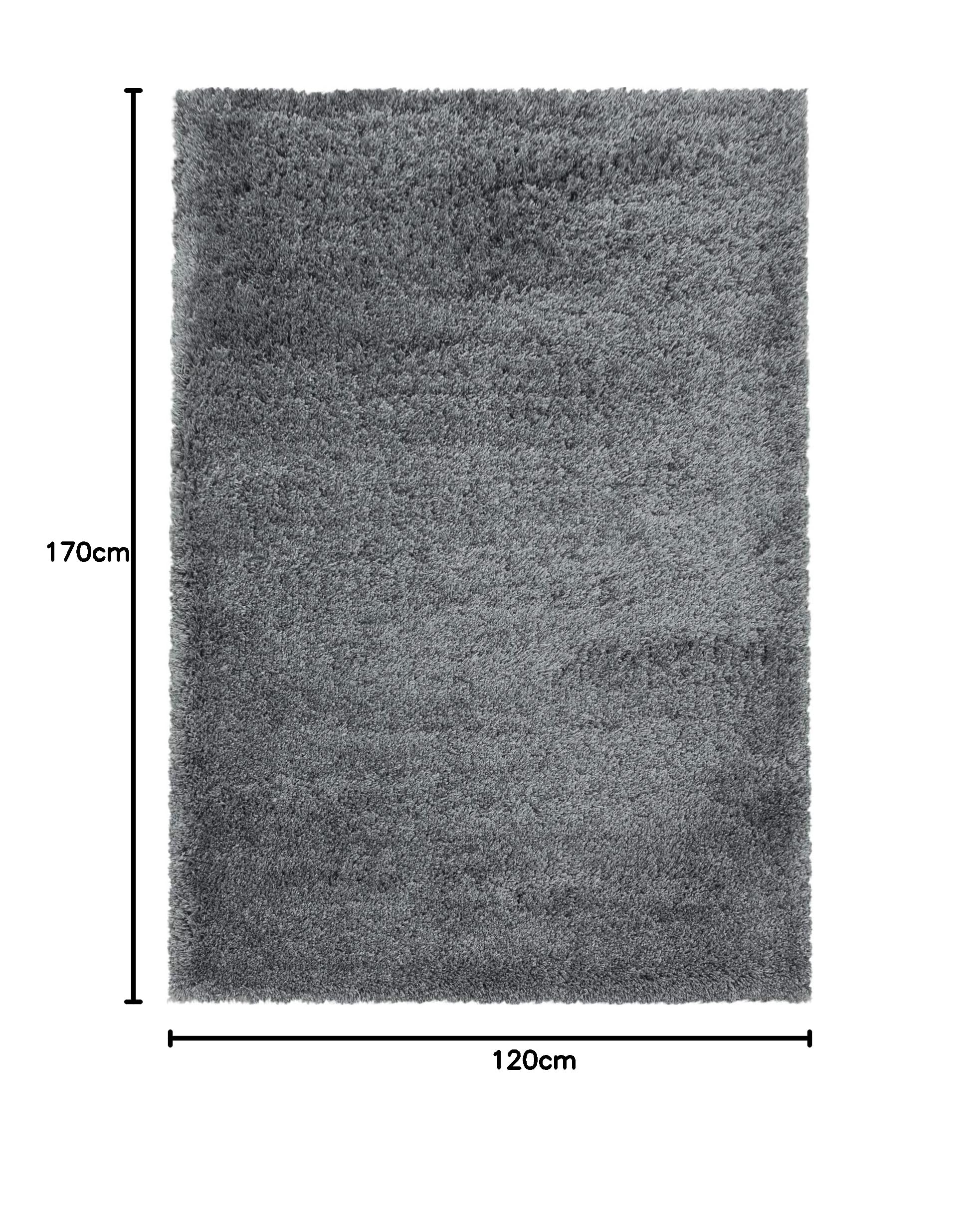 Carpetsale24 Tapis à Poils Longs, Couleur Gris Clair, Unicolor - Monochrome, 107606, Tapis Rectangle, Tapis Salon-Salle à Manger ou Chambre, 120 x 170 cm