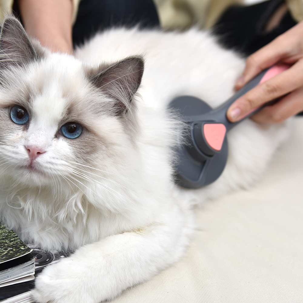 PAKEWAY Spazzola per Gatto e Cani Autopulente, Toelettatura Spazzola Gatti Pelo Corto/Lungo per Eliminare Pelo Superfluo Morto e Sottopelo, Non Graffiano sulla degli Animali