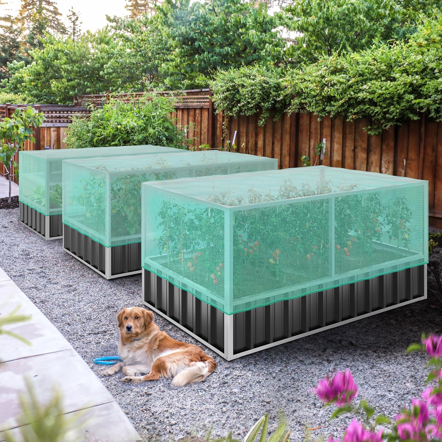 YITAHOME 5.7x3x2.3FT Large Raised Garden Bed with Anti Bird Protection Netting Structure, Outdoor Steel Metal Patio Planter Box with Gloves & Reinforced Frame for Plants Vegetables Flowers (Dark Gray)