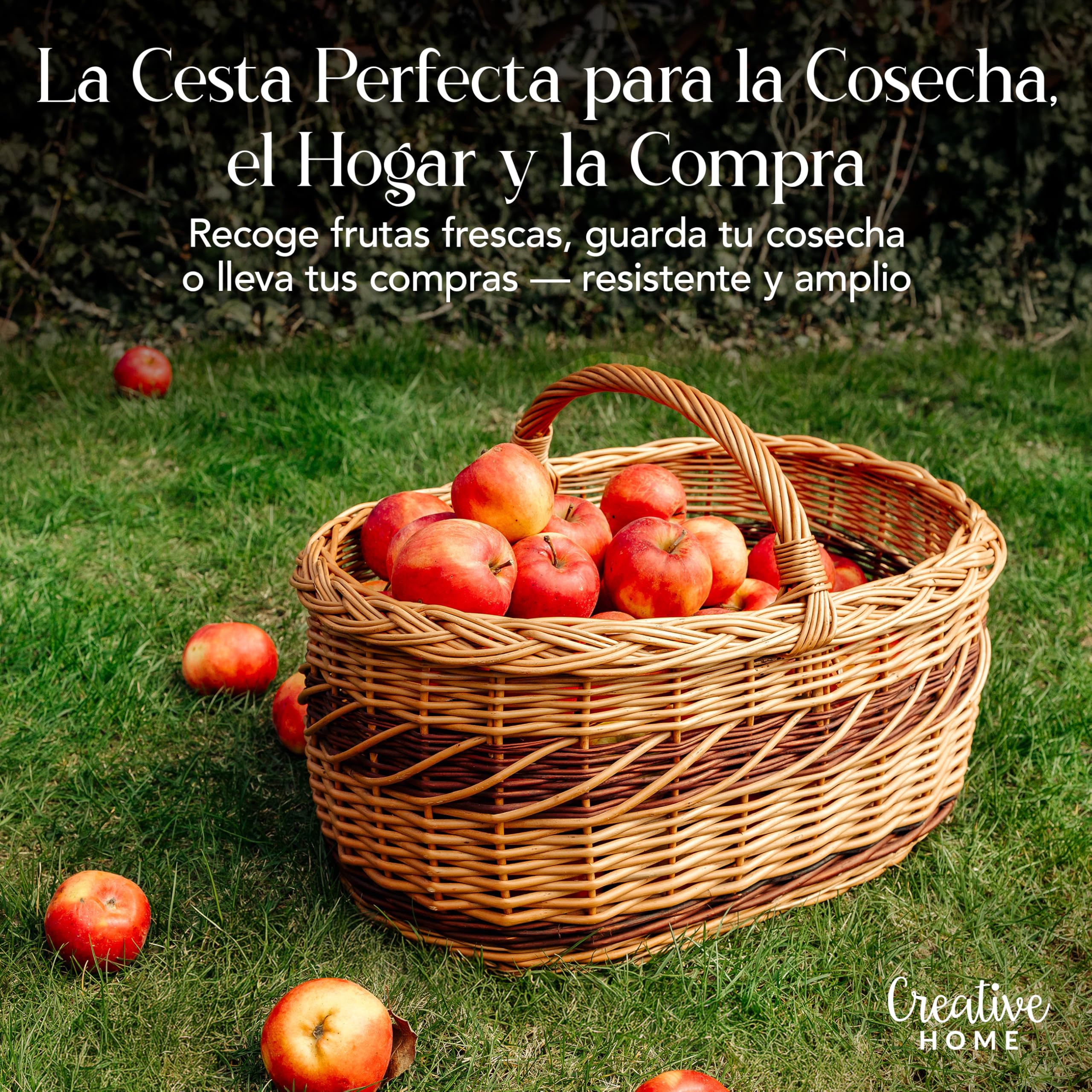 Creative Home Cesta de Mimbre Grande con Asa y Trenza | 52x35x36 cm (+/- 1 cm) Ligera | para Compra Regalo Picnic Plantas Decoración | Tejida a Mano | Marrón Natural | Multiuso, Práctica y Duradera