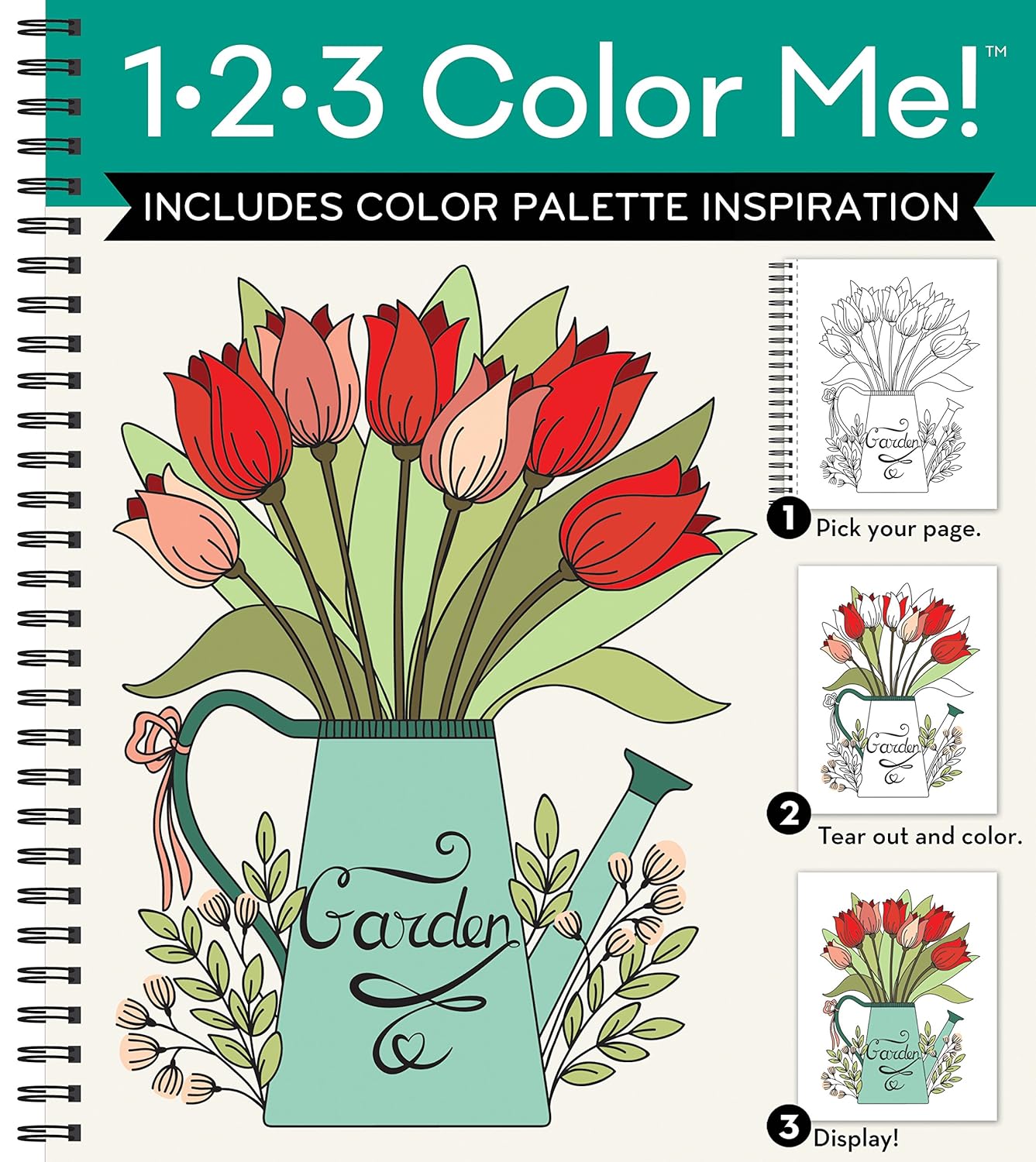 Amazon.com: 1-2-3 Color Me! - Adult Coloring Book: 9781680224771: New ...