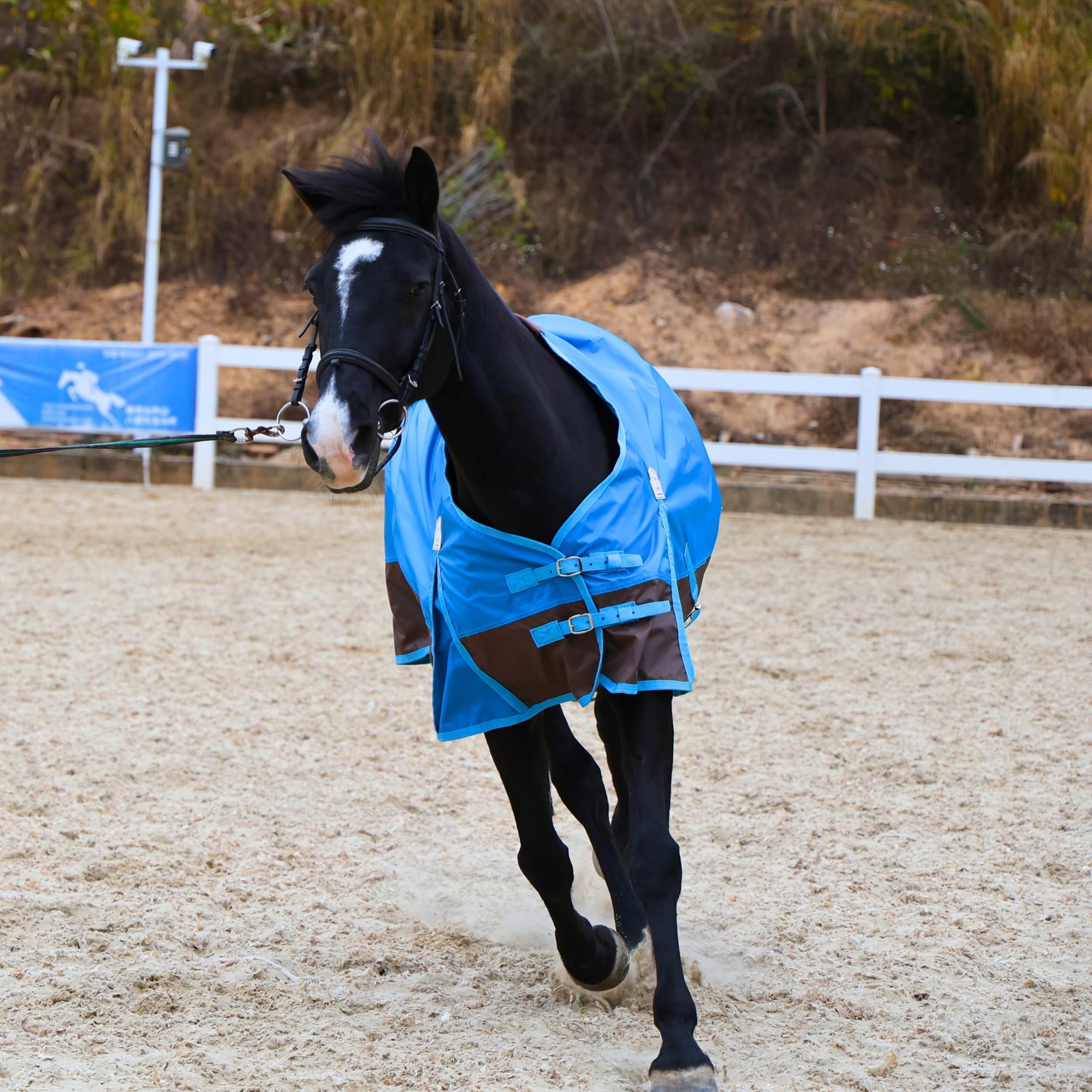 BARN & STABLE Sábanas para caballos 420D, cubierta ligera para caballos