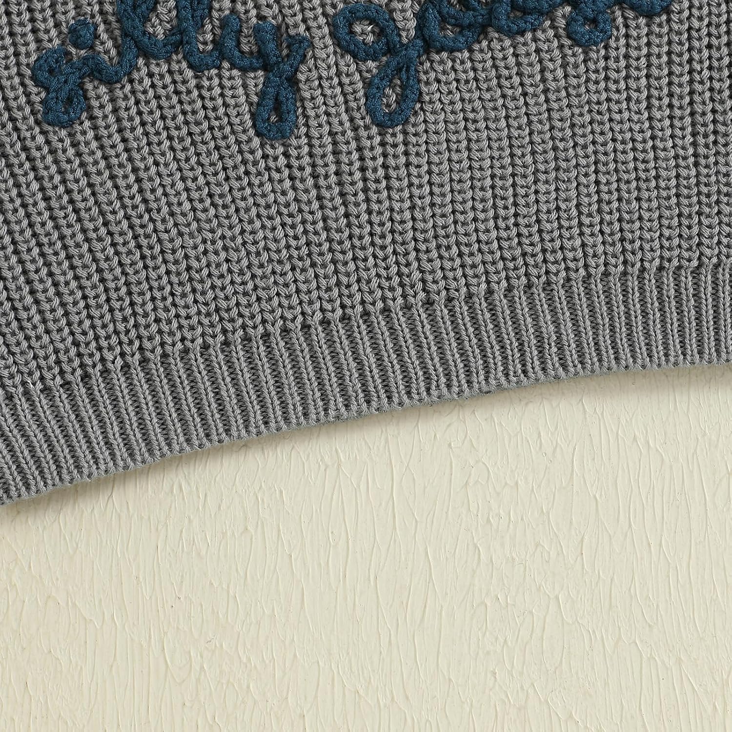 Toddler Baby Boy Girl Goose Sweater Silly Goose Embroidery Knit Sweater Crewneck Sweatshirt Fall Winter Clothes