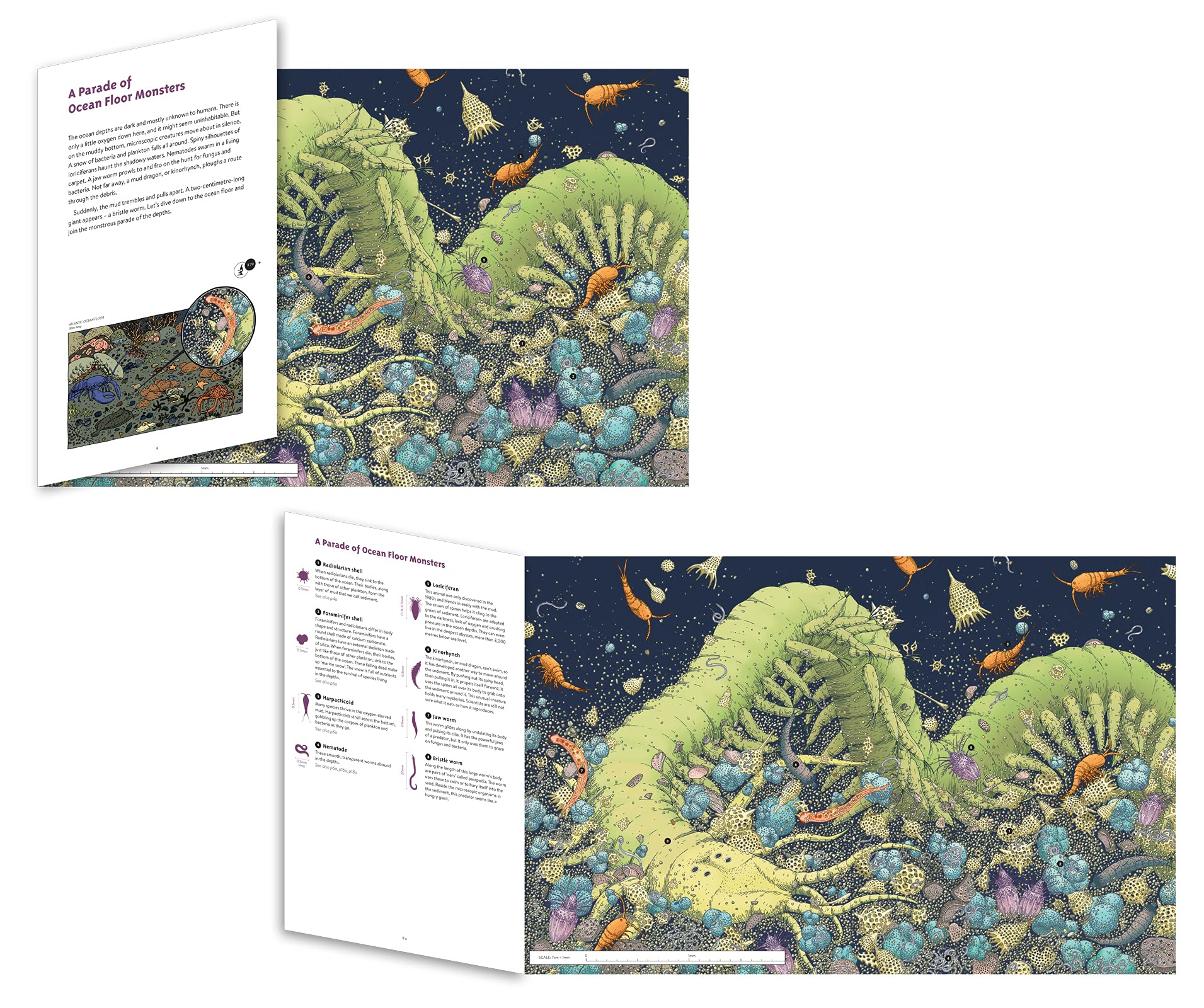 Unseen Worlds: Real-Life Microscopic Creatures Hiding All Around Us - Image 9