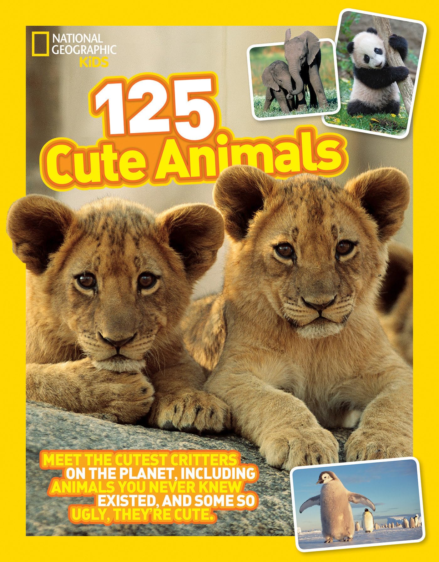 125 Cute Animals: Meet the Cutest Critters on the Planet, Includ