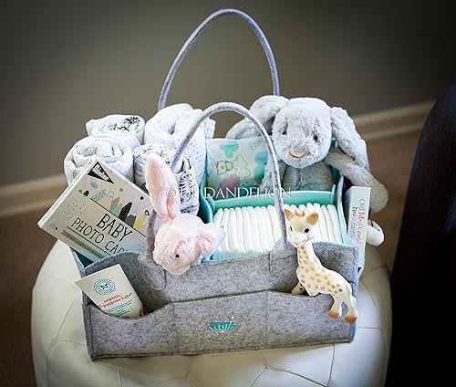 Organizador de pañales para bebé - Cesta de regalo para baby shower de niño o niña  Organizador portátil para auto  Cesta de almacenamiento para disponible en Yaxa Costa Rica