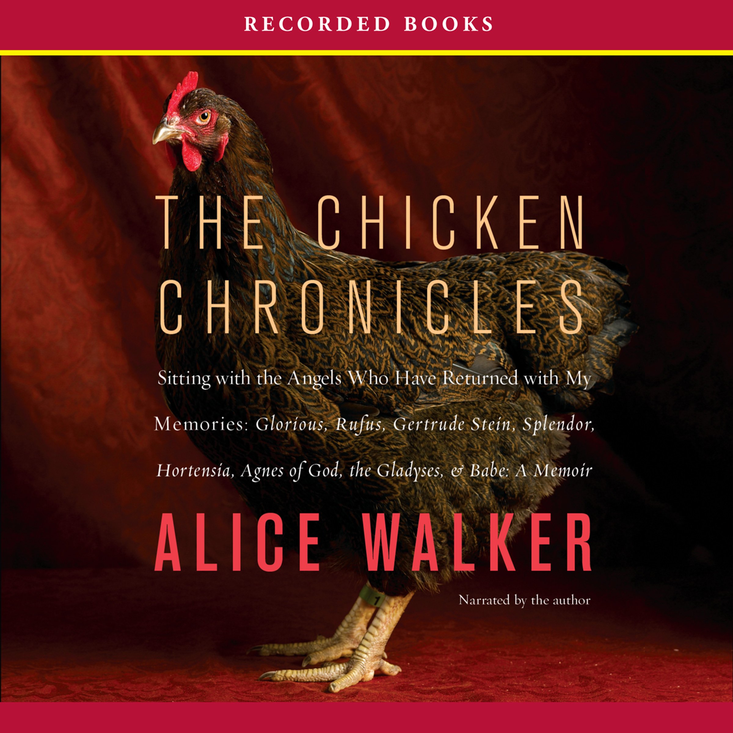 Cover art for Chicken Chronicles
