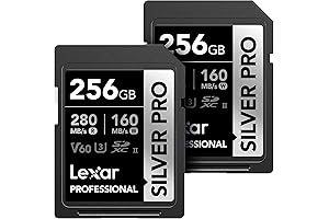 Lexar Professional Silver PRO 256GB SDXC Memory Card (2-Pack)
