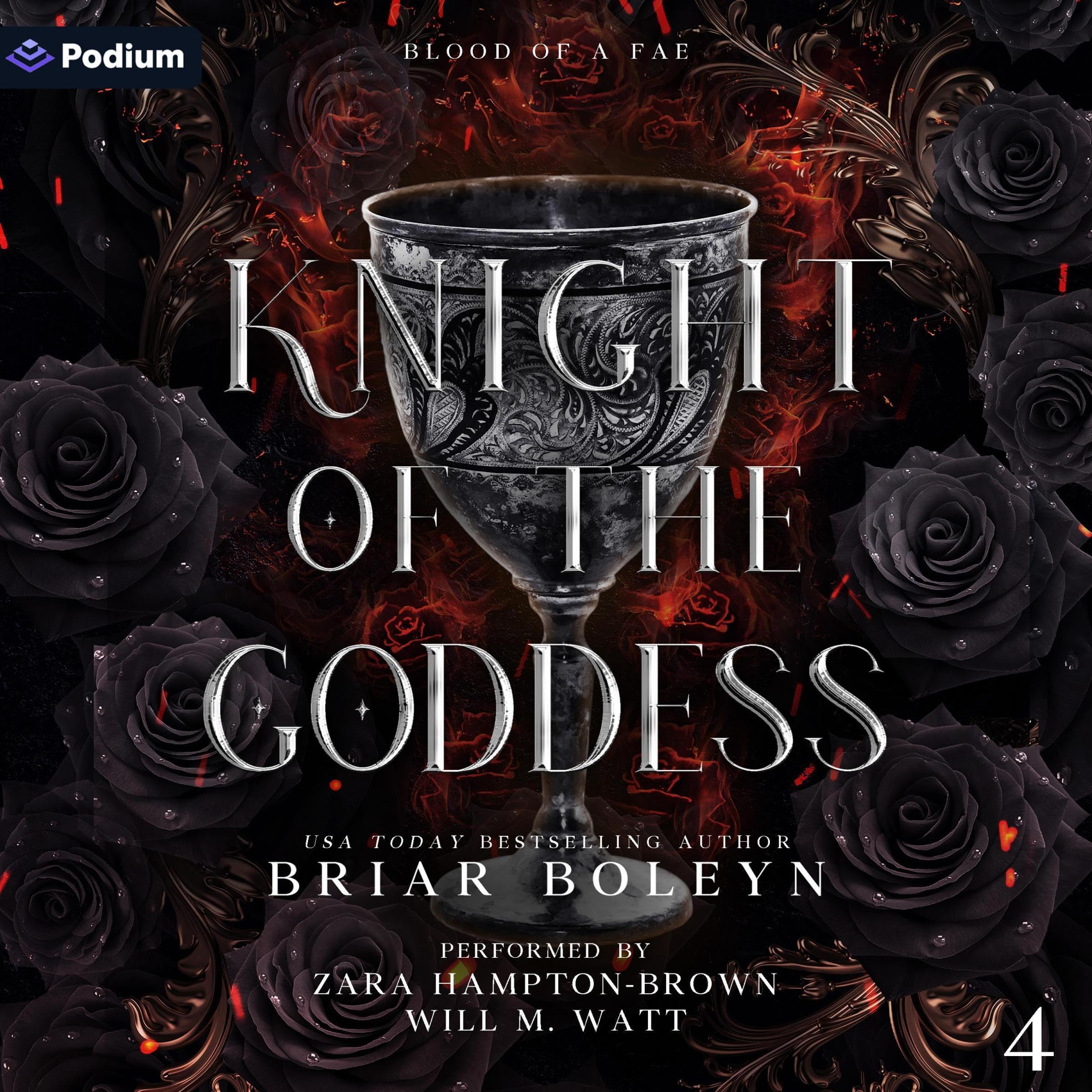 Knight of the Goddess