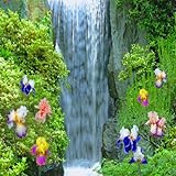 Flowers Waterfall Live