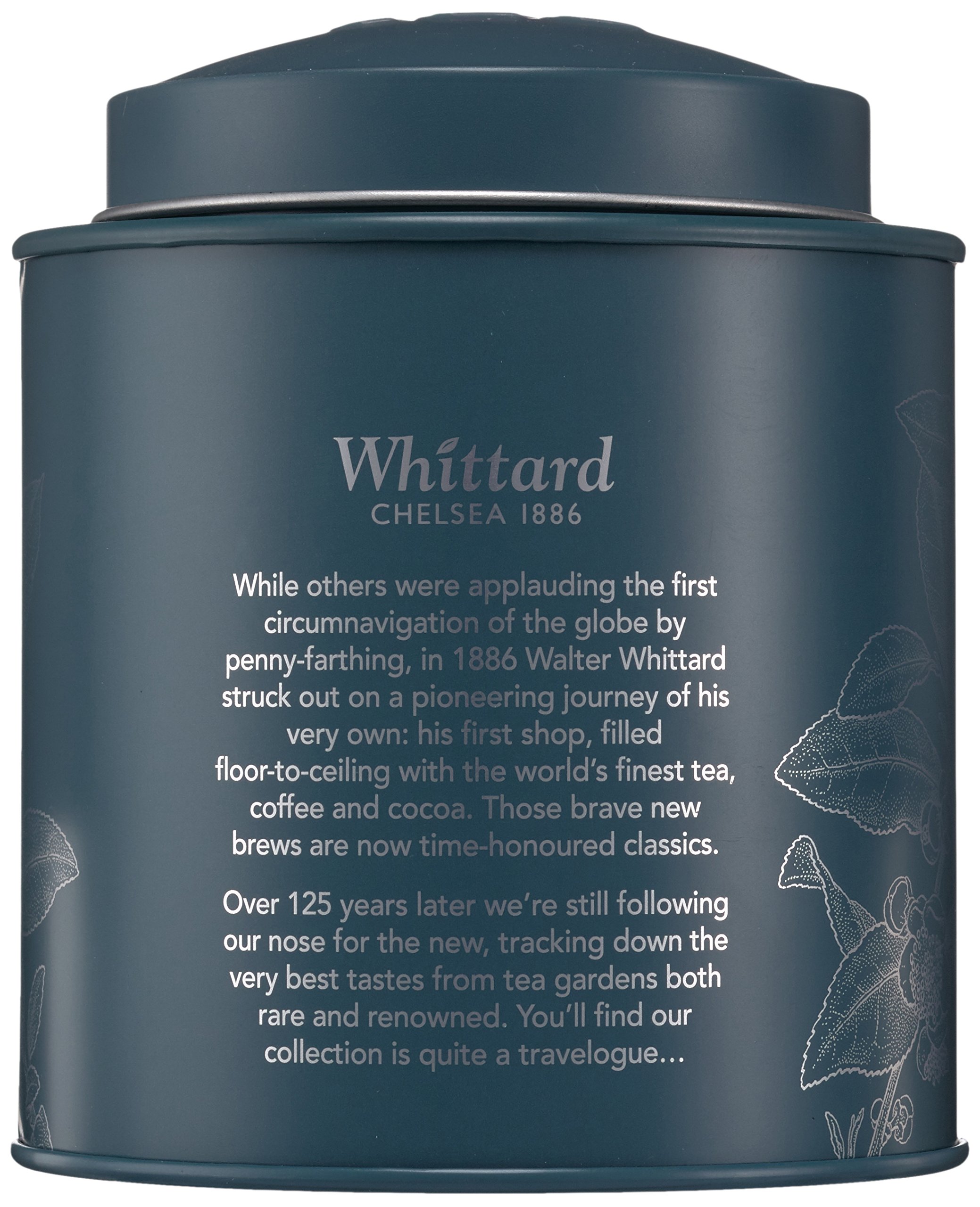 Whittard of Chelsea Earl Grey Loose Leaf Tea Caddy, 1er Pack (1 x 100 g)