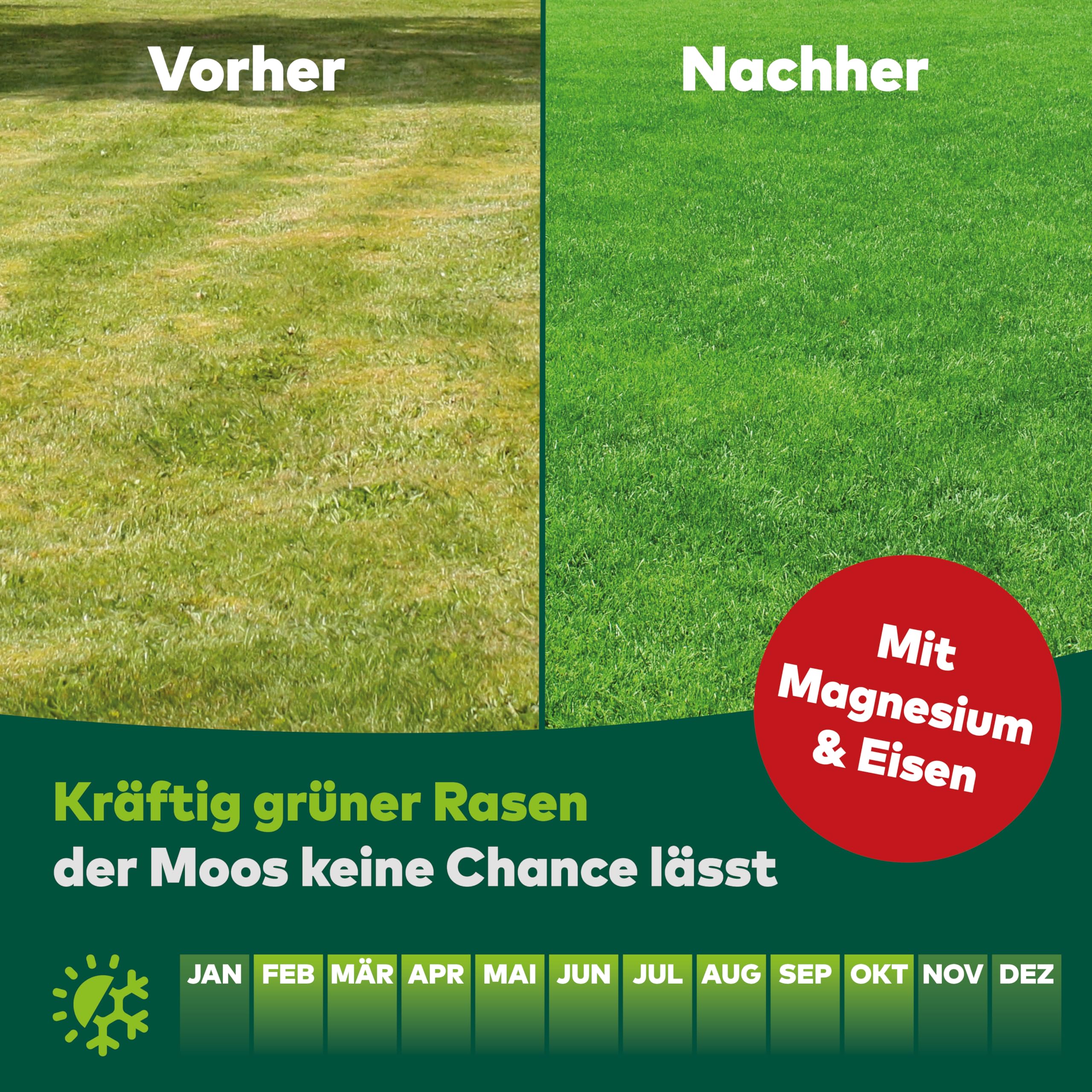 DCM Rasendünger Spezial - Langzeit Rasendünger - In MINIGRAN® TECHNOLOGY - Geeignet für Streuwagen - organisch-mineralischer NPK-Dünger - 18 KG für 450 qm