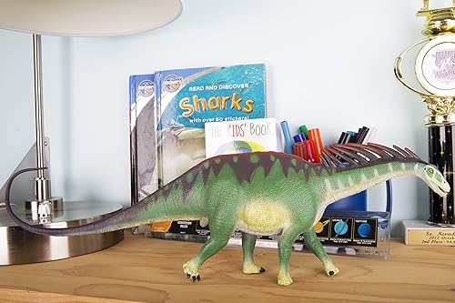 Miniatura 7 de Safari Ltd. Wild Safari - Figura de Amargasaurus del mundo prehistórico  Figura detallada de plástico de 16 pulgadas  Divertido juguete educativo