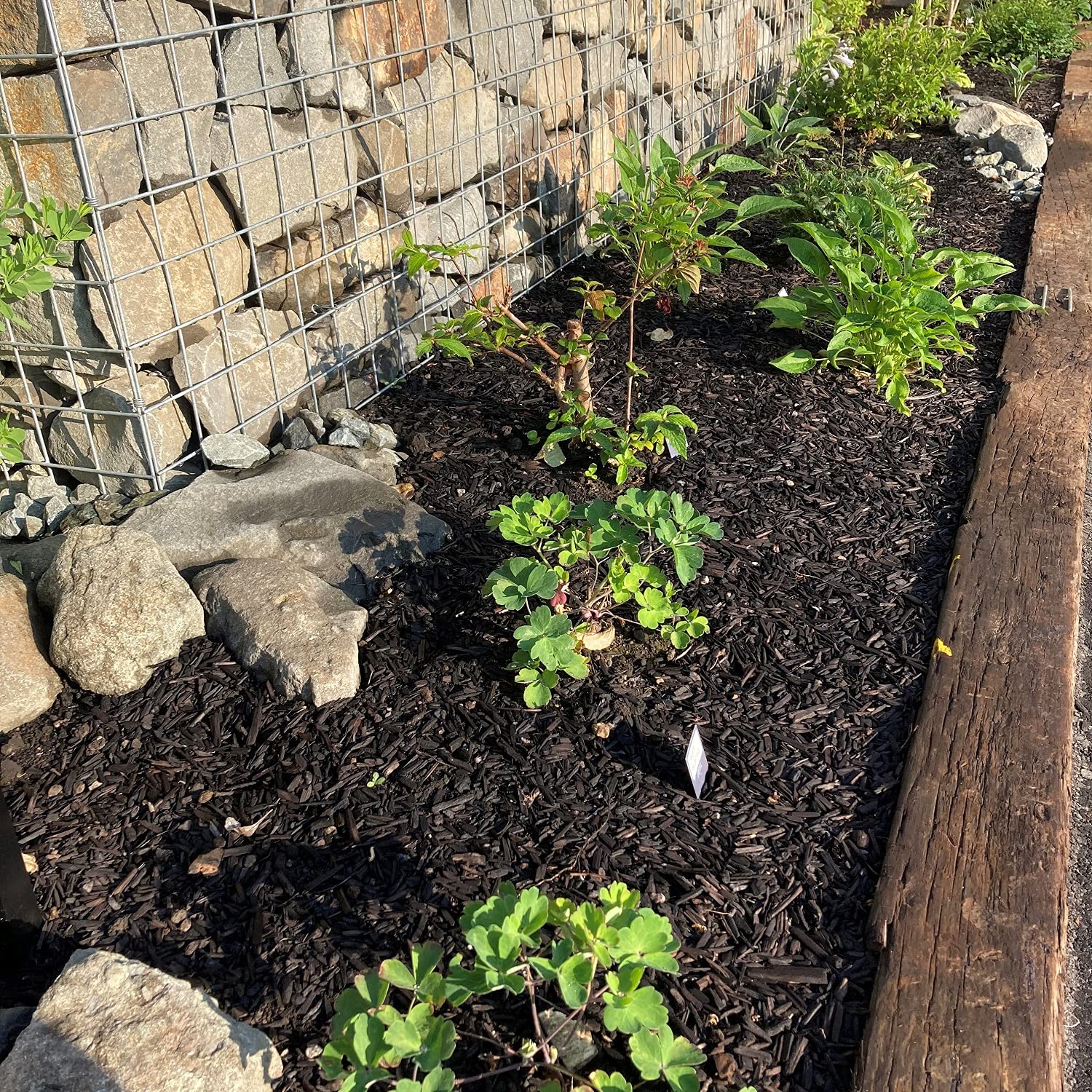 林功、【万光】、希少な額装用画集より、状態良好、新品額装付、日本人