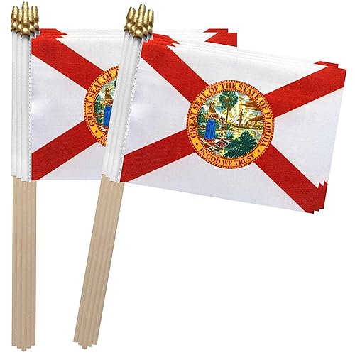TSMD Florida FL State Flag on Wood Stick Small Mini