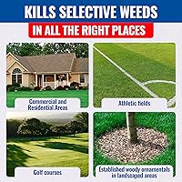 Vista 7 de Sedgehammer Plus herbicida para césped - 2 paquetes de 13,5 gramos de mata ciperáceas morado y amarillo hecho en EE. UU. para césped