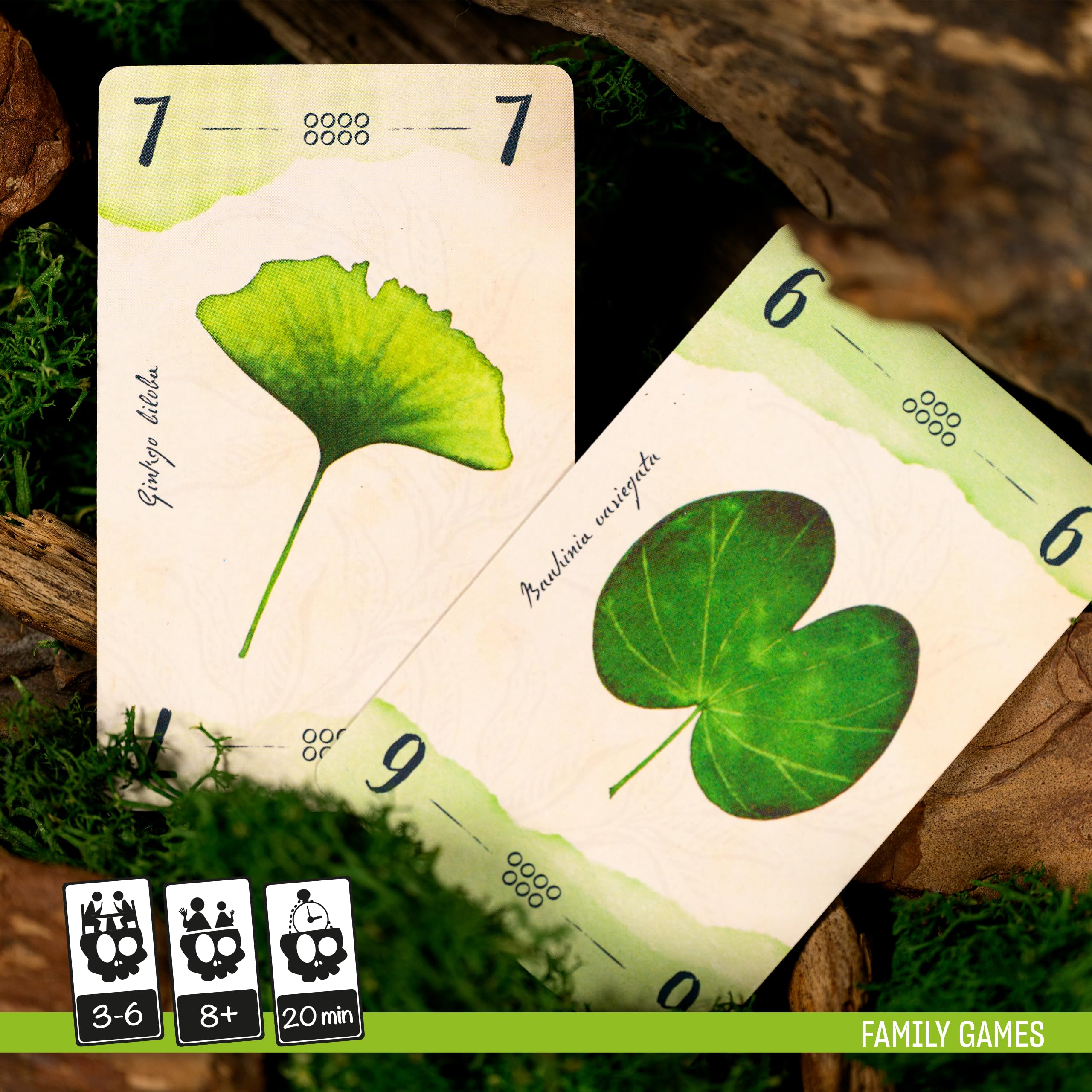 Cranio Creations - 13 foglie, Chi Finirà Per Primo Le Carte? Edizione Italiana