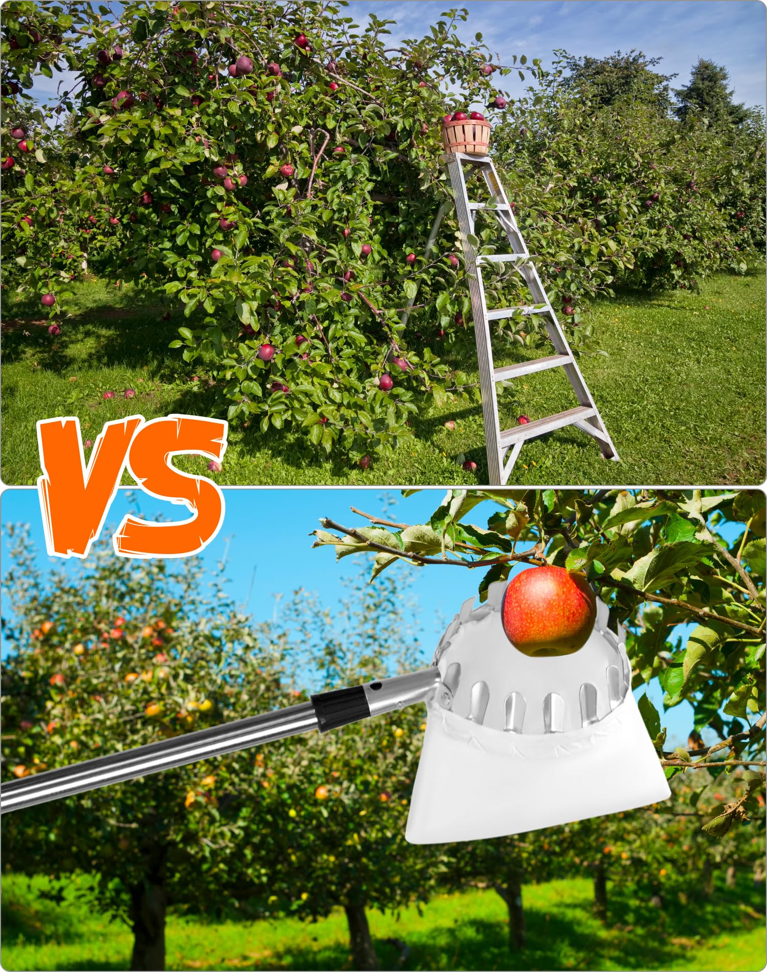 QWORK® Raccoglitrice di Frutta 4M con Manico telescopico, Acciaio Inossidabile, Strumento raccoglifrutta