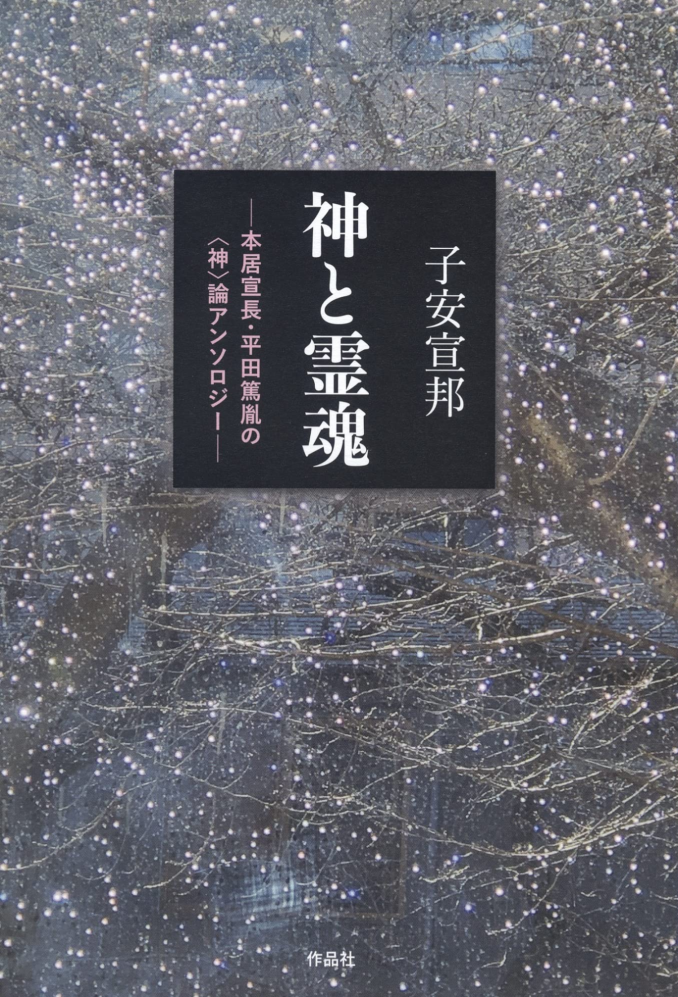 護國神社大総覧　―英霊鎮魂と神もうで―　政治・経済研究会（初版） 神国日本」大綱 : 憂国・愛国・救国真正右翼民族主義で国辱的