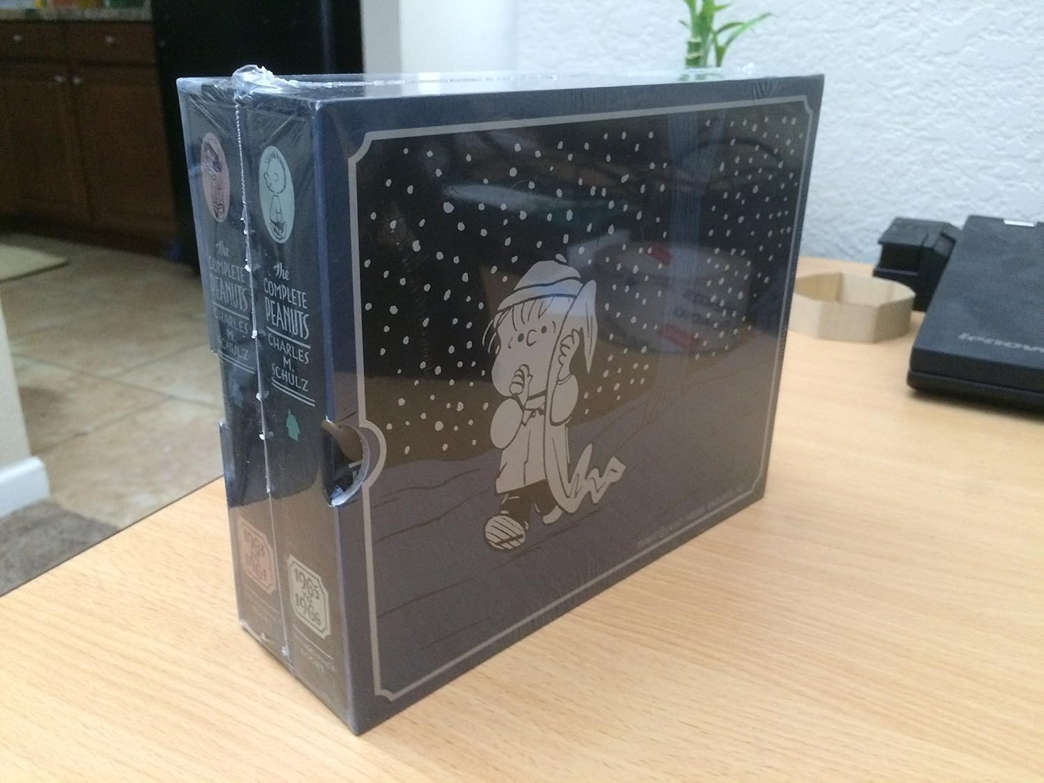 Complete Peanuts 1963-1966