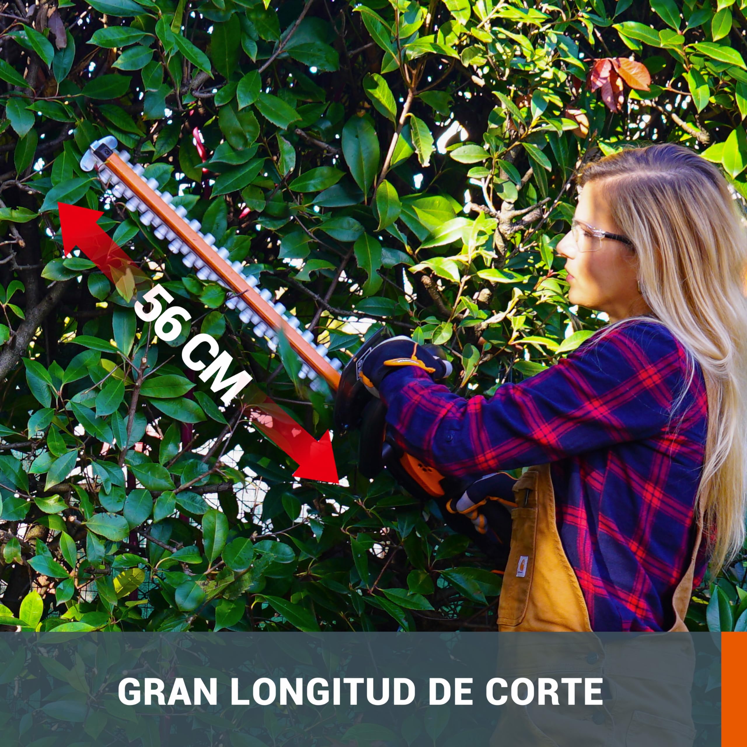 WORX Cortasetos a batería | WG264E | 20V Máx. | Batería 20V – 2Ah y Cargador Incluido |PowerShare | Cuchilla Doble Longitud Cuchilla 56 cm | Distancia Entre Dientes 20 mm |