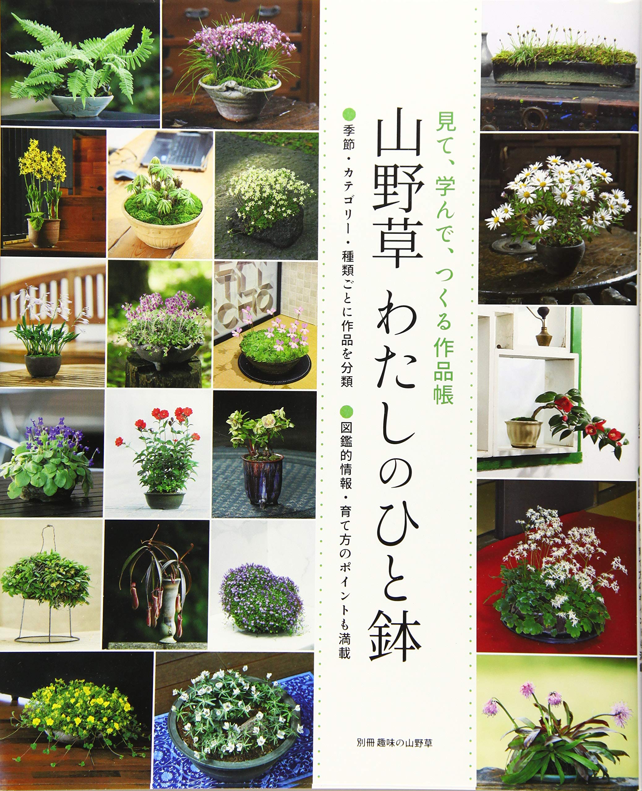 山野草 わたしのひと鉢: 別冊趣味の山野草 |本 | 通販 | Amazon