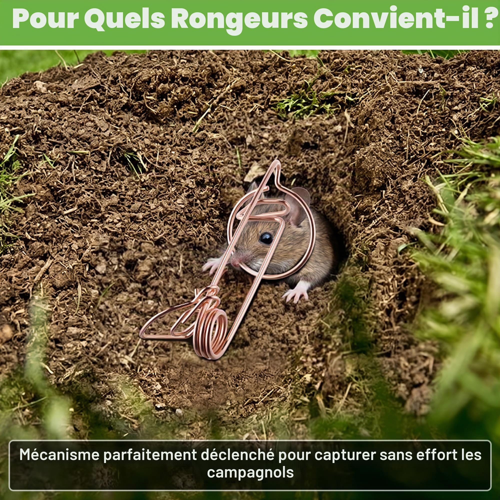 Enhon 8 Pièces Professionnel pour Campagnols Et Taupes, Pièges pour Campagnols en Fil d'acier Cuivré, sans Poison - Aucun Appât Nécessaire, Efficace Contre Les Et Les Taupes dans Le Jardin