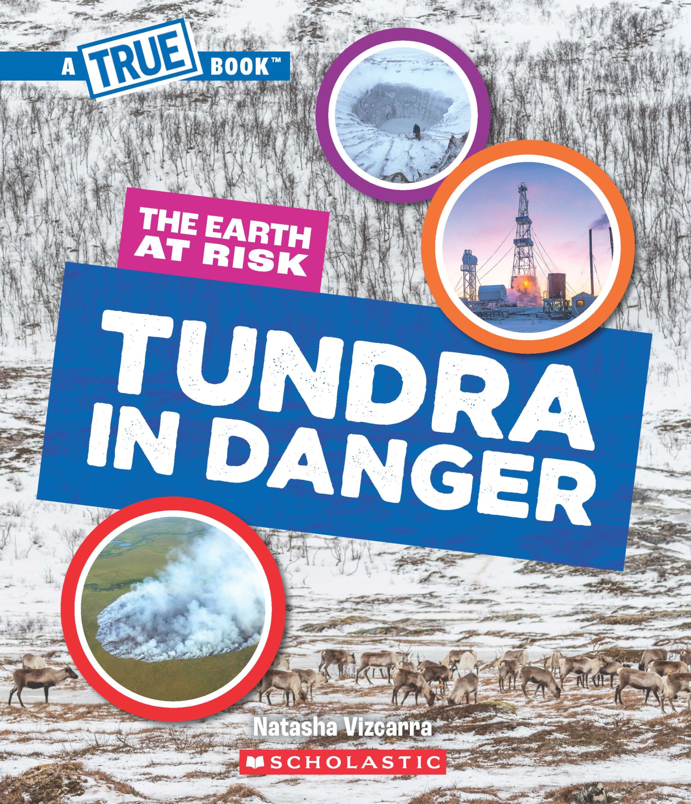 A True Book - The Earth at Risk: Tundra in Danger