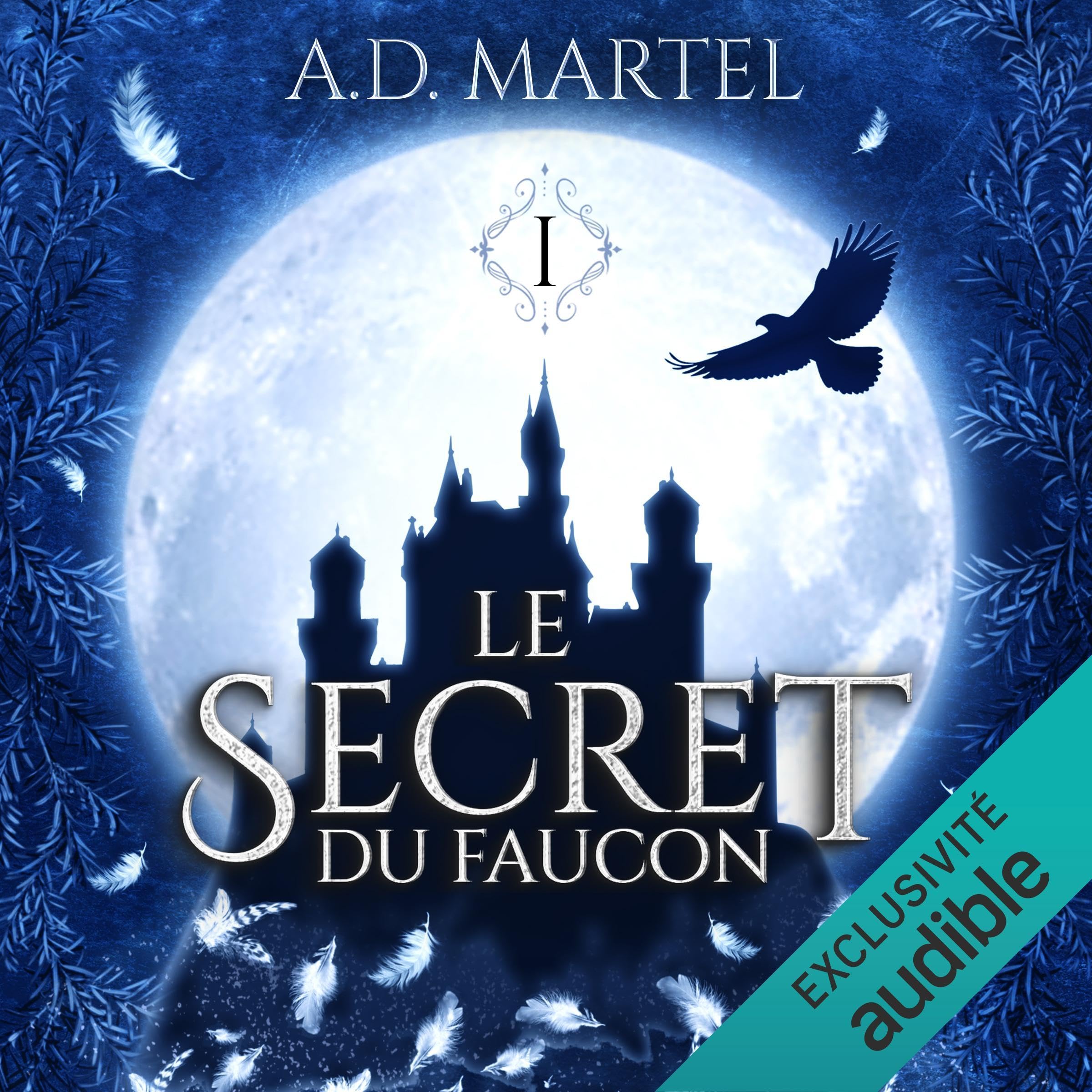 Cover art for Le secret du faucon 1
