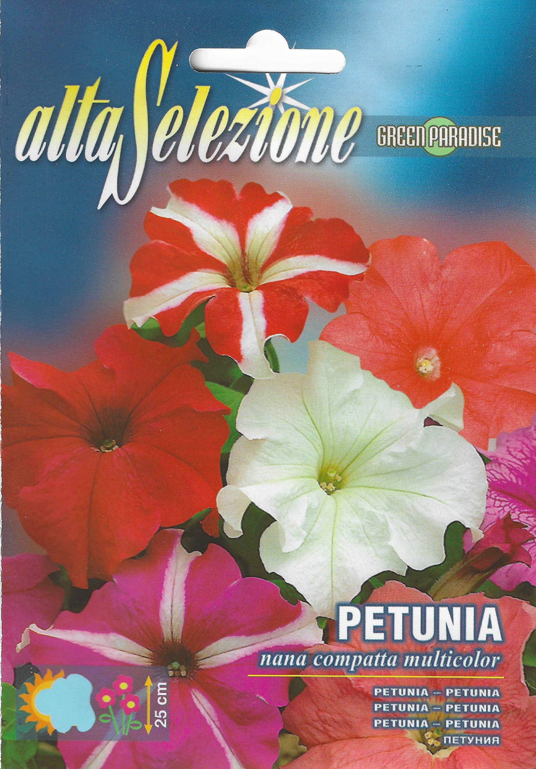 AltaSelezione Petunia Nana Multicolor Premium Quality Seeds (Made In Italy) By Franchi Sementi