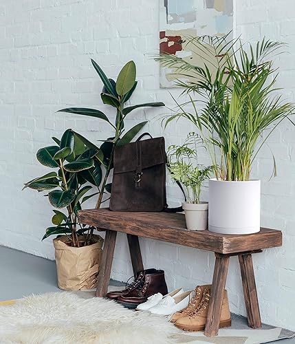 Miniatura 7 de D'vine Dev Macetas de plástico de 8 pulgadas para maceta con orificio de drenaje y platillos sin costuras, color blanco, 74-X-A-1