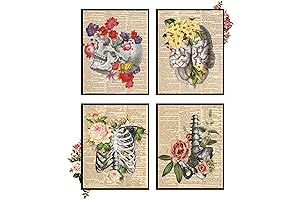 8x10 Unframed Anatomy Wall Art: Explore the Human Skeleton with Intricate Skull Art