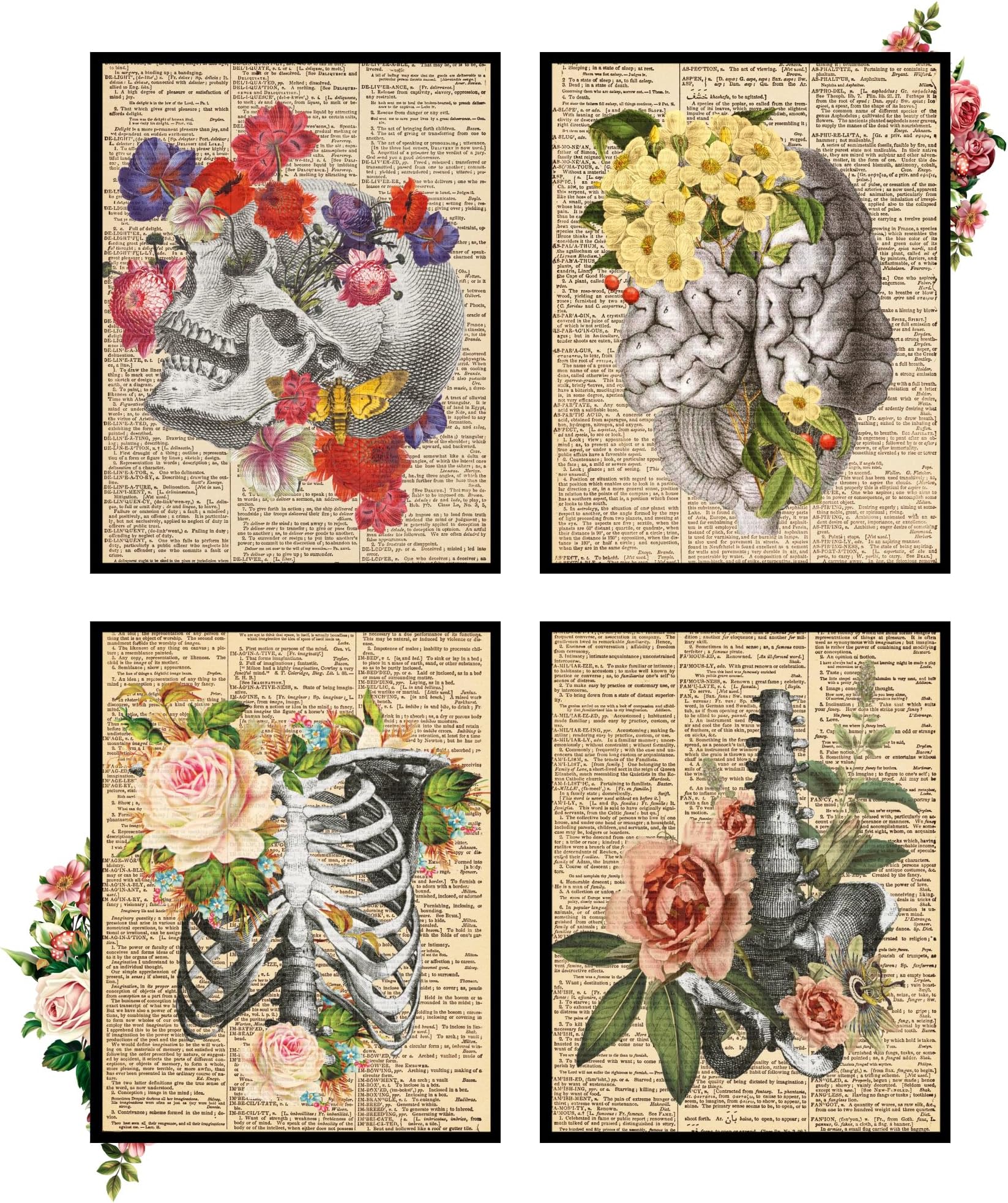 Anatomy Wall Art, Skull Art, Human Skeleton Poster, Anatomy Pictures, Skeleton Pictures for Wall (8x10 Unframed)